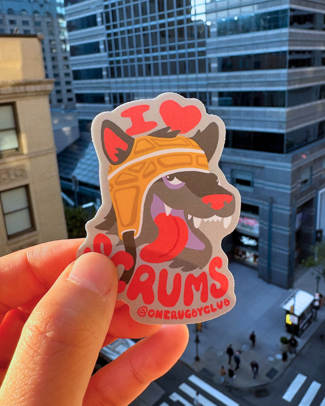 Hand holding sticker of a wolf in a scrum cap with the words "I love scrums"