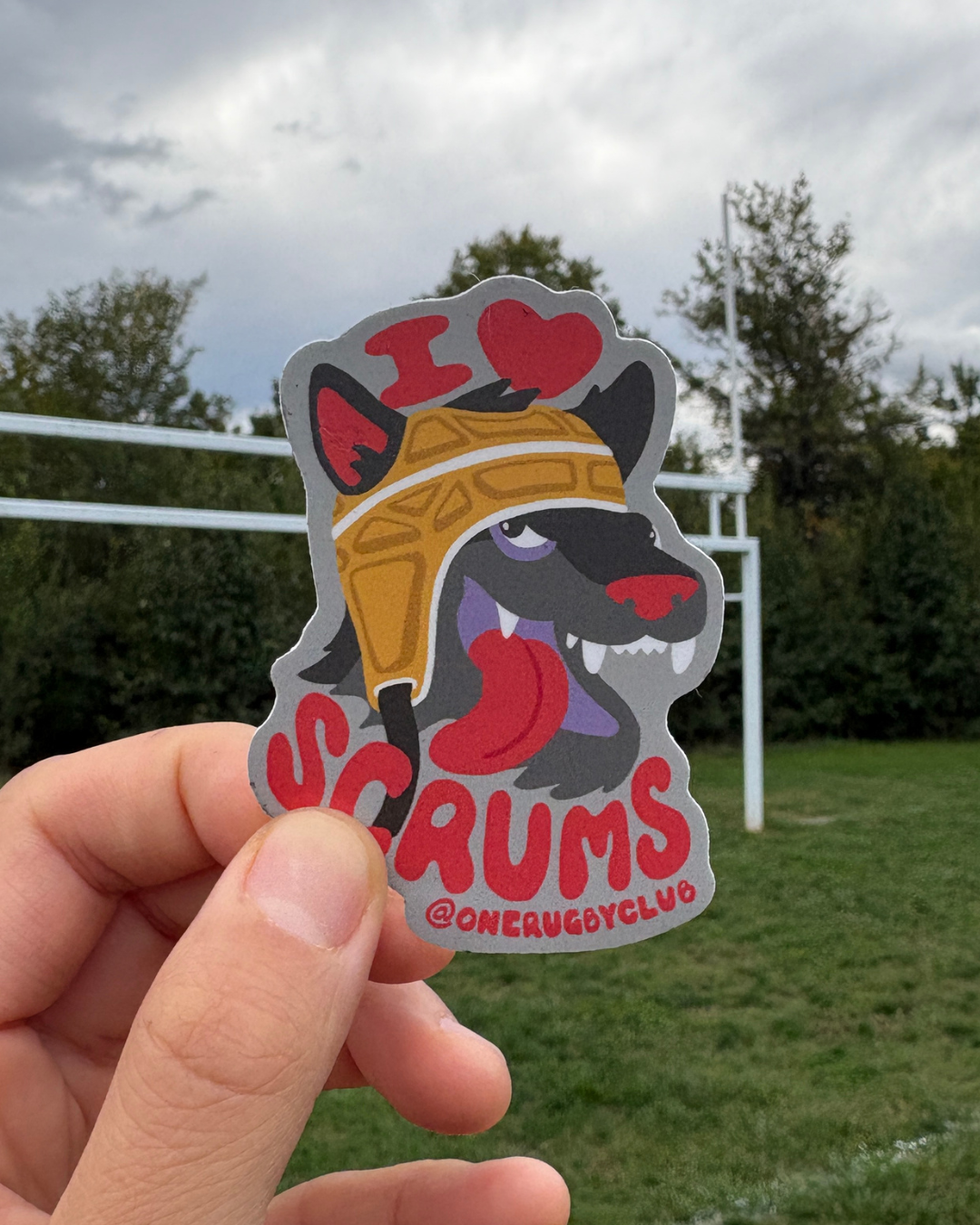 Hand holding sticker of a wolf in a scrum cap with the words "I love scrums" with rugby posts in the background